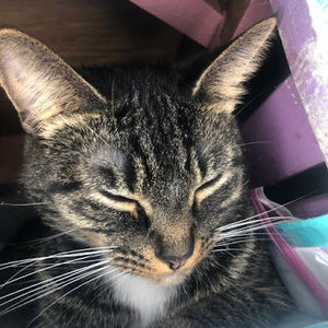 Meet your Posher, Grant